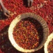 Metode de procesare a cafelei: de la washed la fermentări experimentale