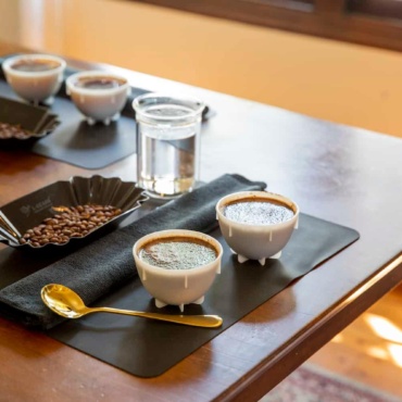Protocolul de cupping: de la parametrii SCA la evaluarea senzorială