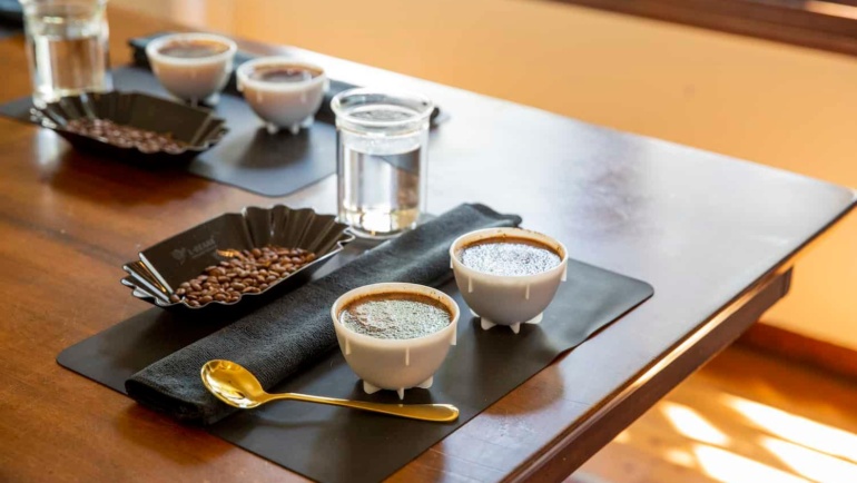 Protocolul de cupping: de la parametrii SCA la evaluarea senzorială