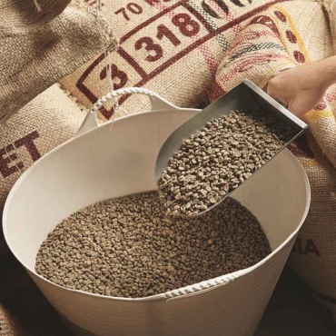 Cafeaua de specialitate