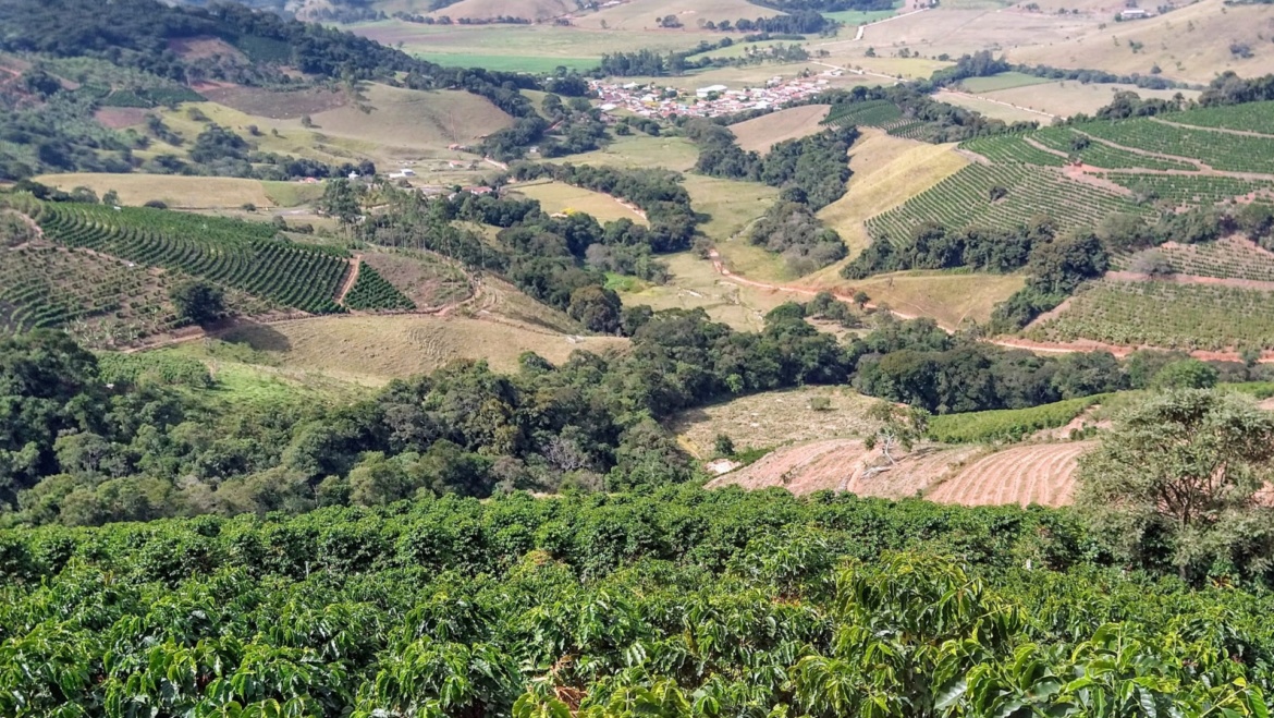 Cafea de specialitate – Brazilia