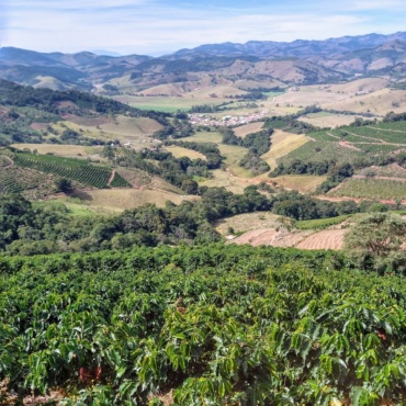 Cafea de specialitate – Brazilia