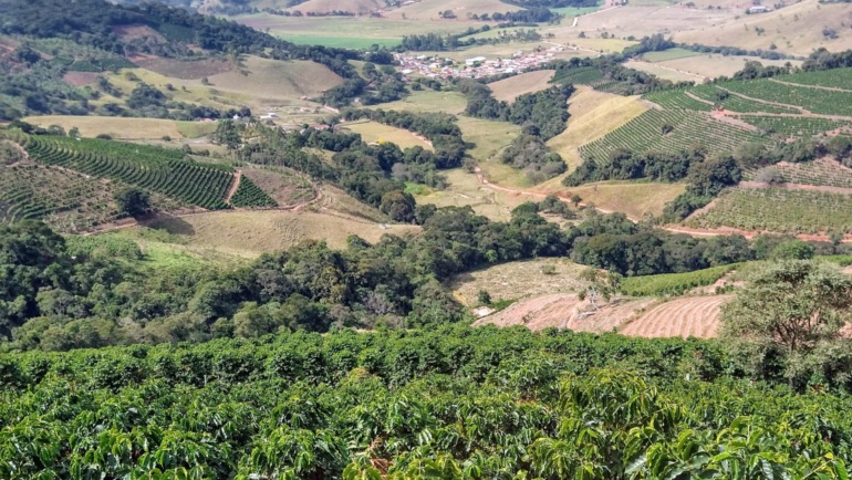 Cafea de specialitate în Brazilia