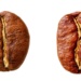 Arabica vs Robusta: diferențele dintre cele două specii de cafea