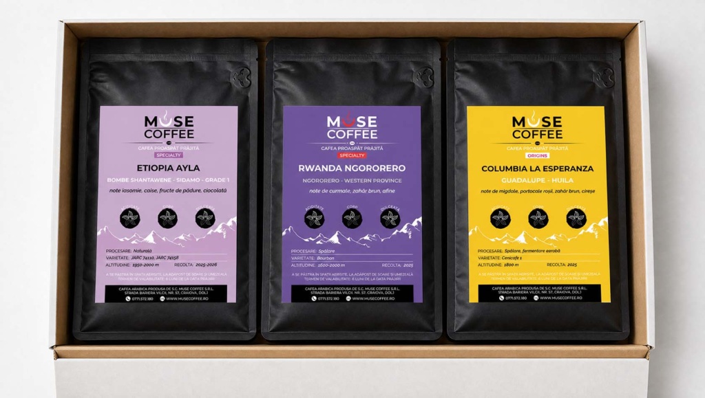Trei pungi opace Muse Coffee în cutia Discovery Box, punctul de plecare pentru păstrarea cafelei