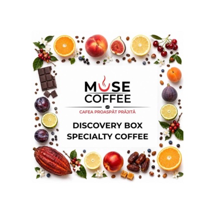 Muse Coffee Discovery box